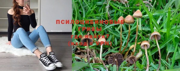 прущая мука Абдулино