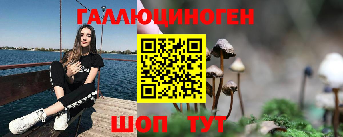 Галлюциногенные грибы мухоморы Новочеркасск