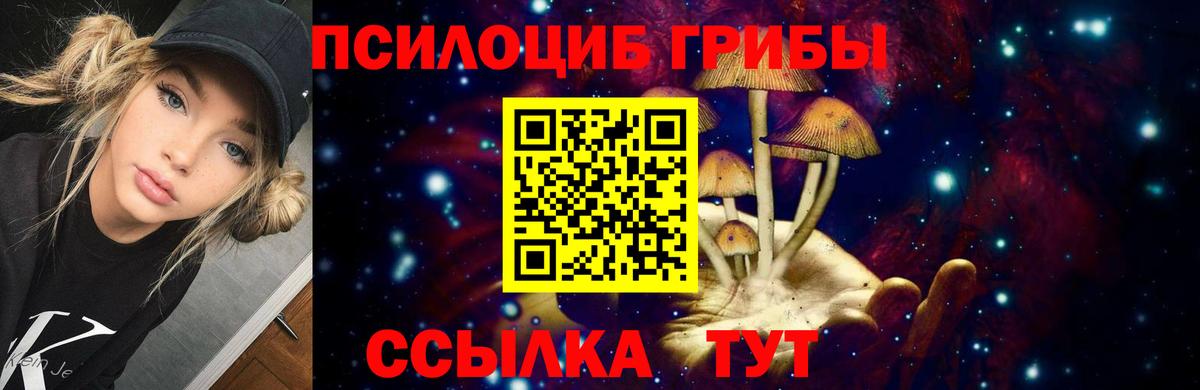 Псилоцибиновые грибы GOLDEN TEACHER  Галлюциногенные грибы мицелий  Вход с VPN  Новочеркасск 